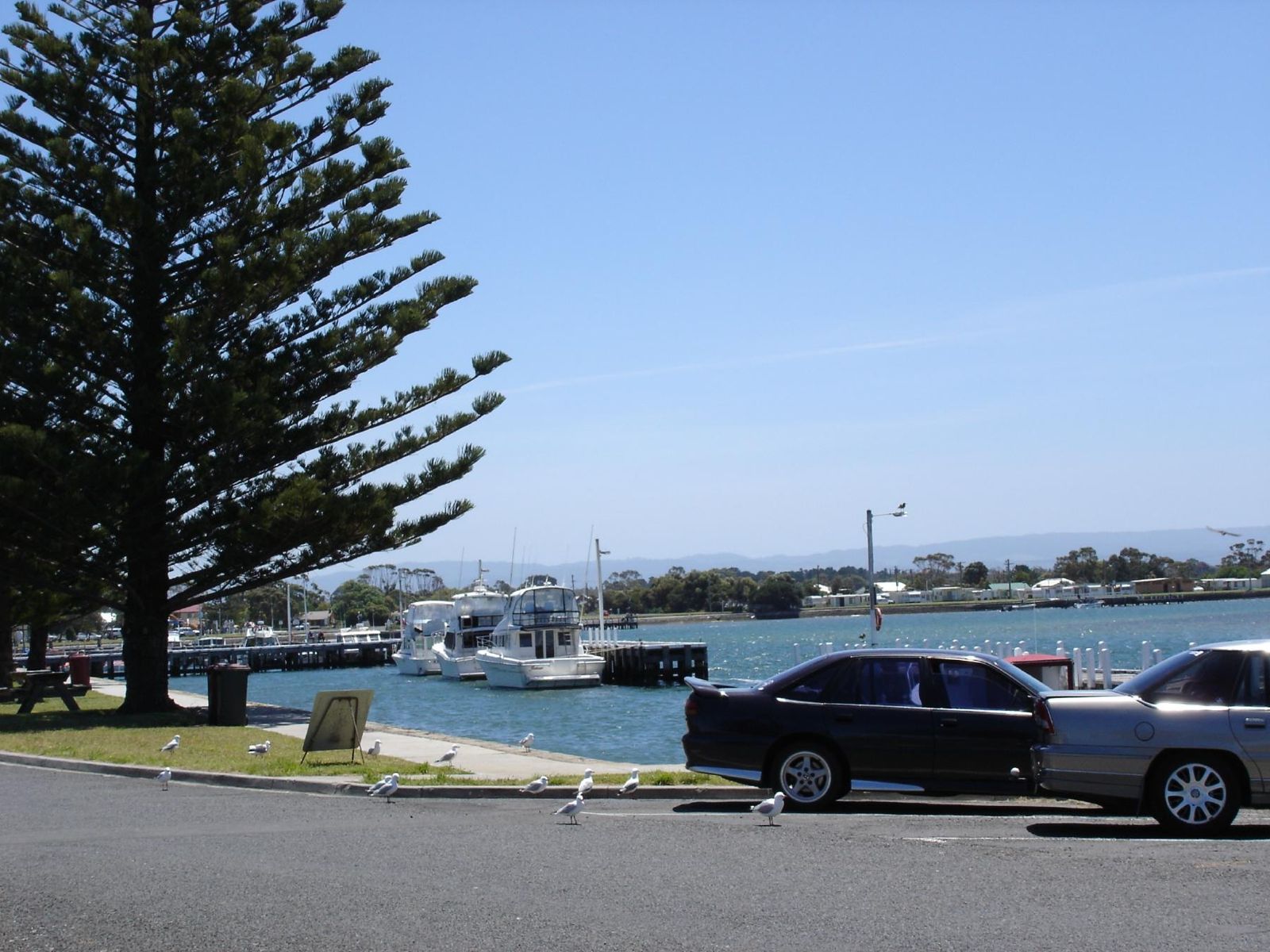 Primary photo of Port Welshpool