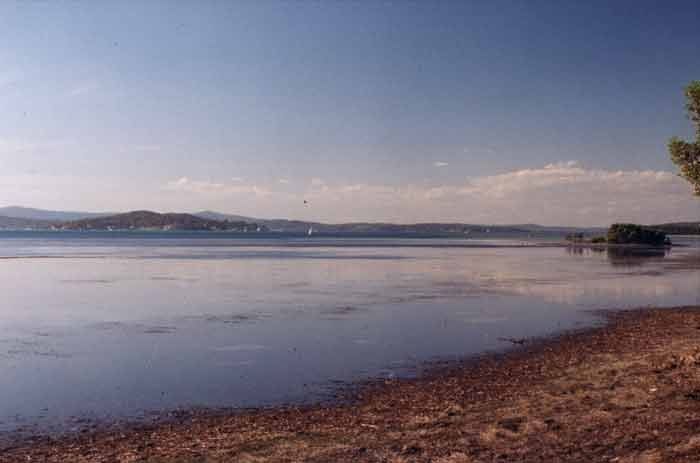 Primary photo of Pulbah Island