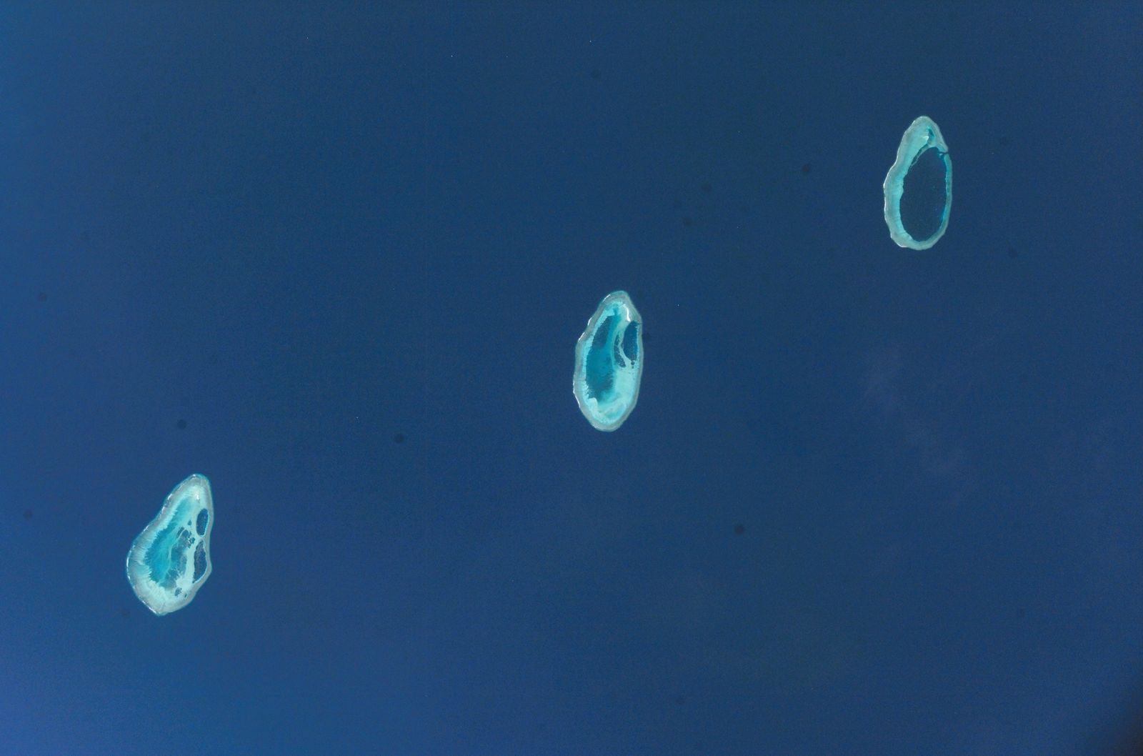 Primary photo of Rowley Shoals Marine Park (Mermaid Reef, Clerke Reef, Imperieuse Reef)