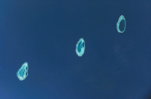 Photo of Rowley Shoals – Mermaid Reef
