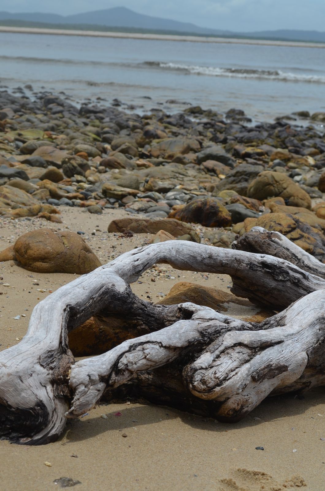 Primary photo of Sandon Beach