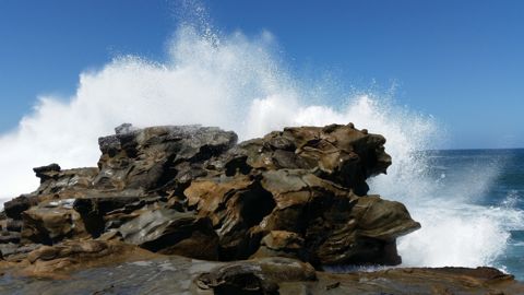 Photo of Shelley Beach (Kilcunda)