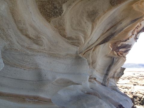 Photo of Shelley Beach (Yuraygir NP)