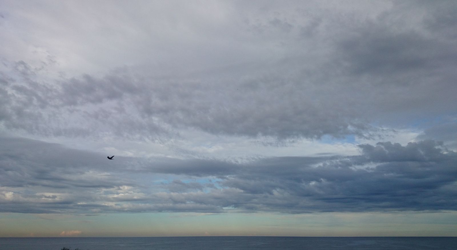 Primary photo of Shelly Beach (Central Coast)