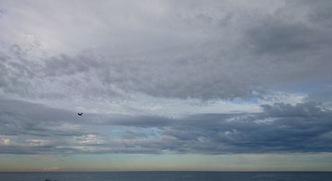 Photo of Shelly Beach (Central Coast)