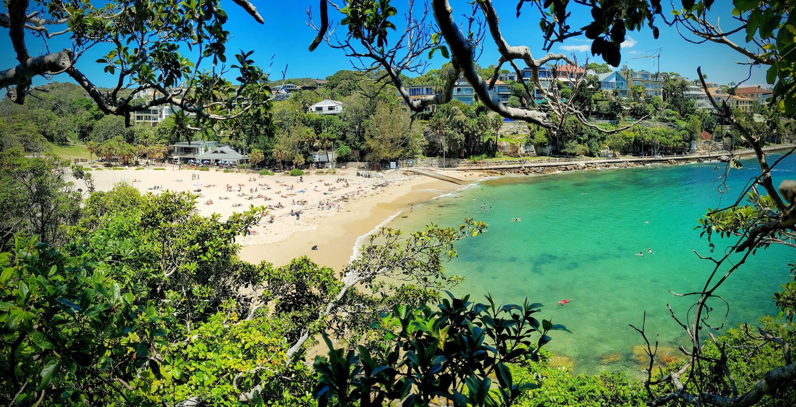 Primary photo of Shelly Beach (Manly)