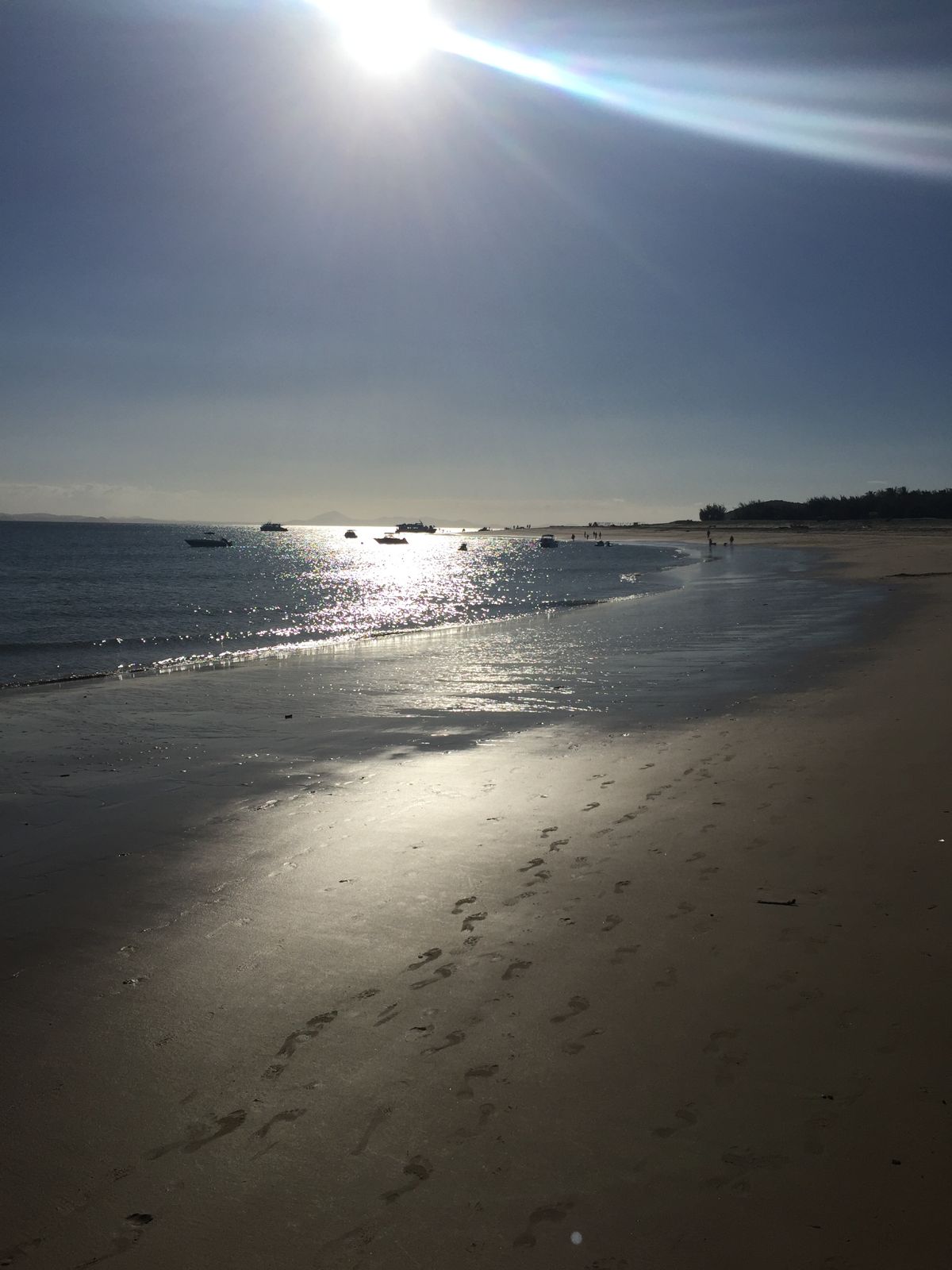 Primary photo of Shelving Point Reef (Shelving Beach)