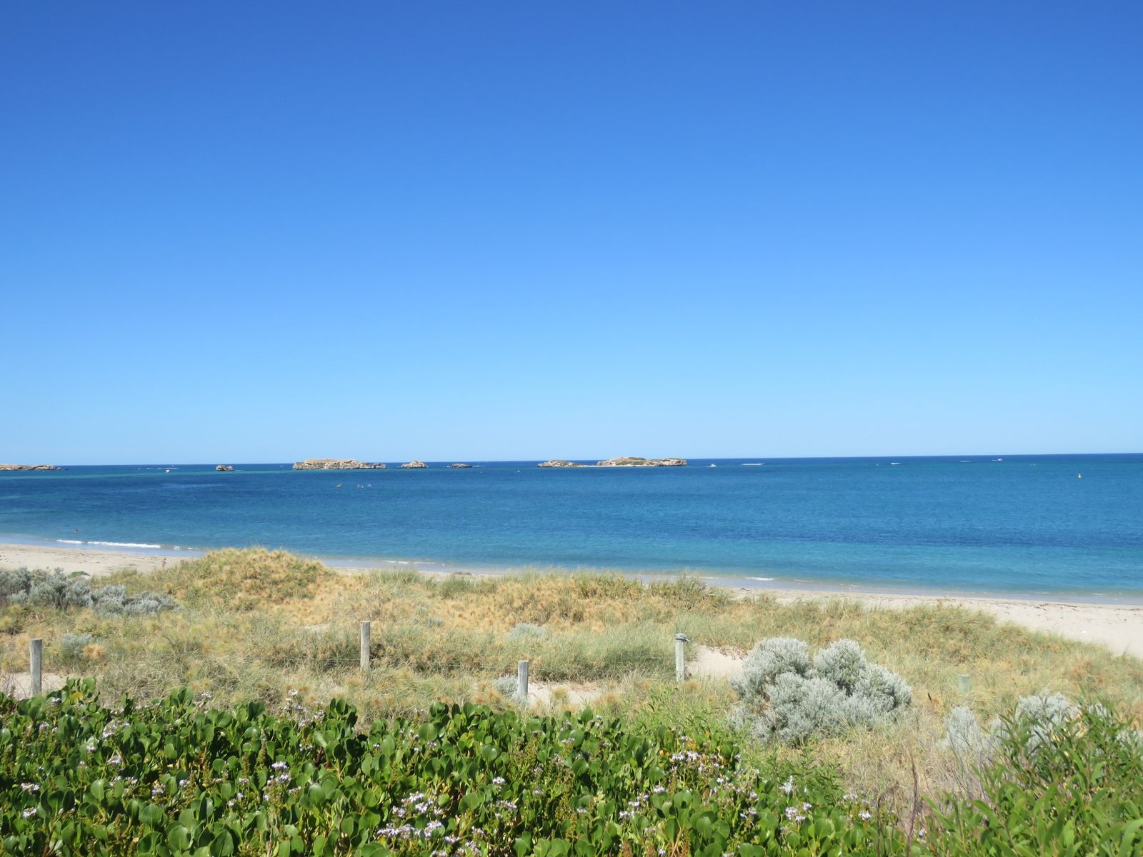 Primary photo of Shoalwater Islands Marine Park (reefs)