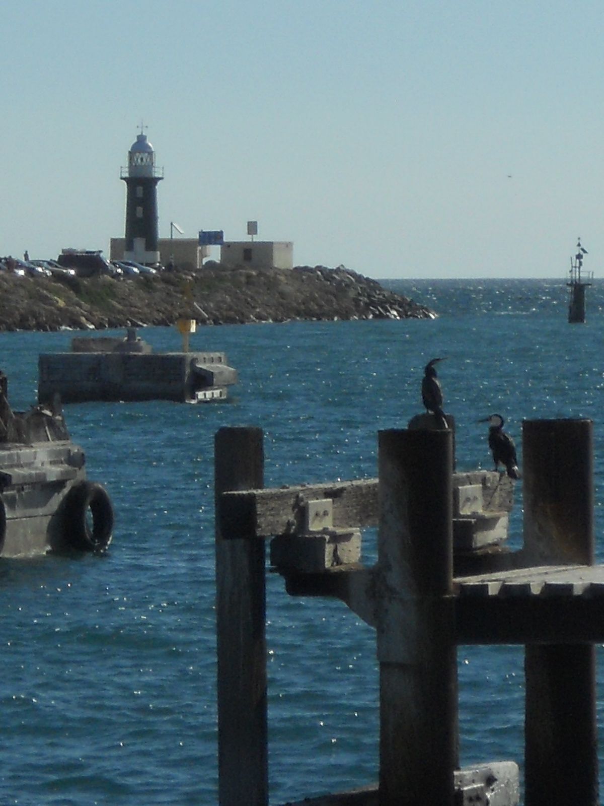 Primary photo of South Mole (Fremantle)