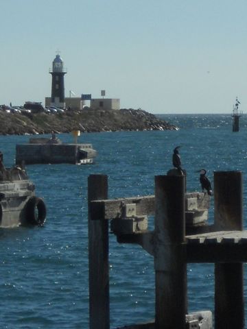 Photo of South Mole (Fremantle)