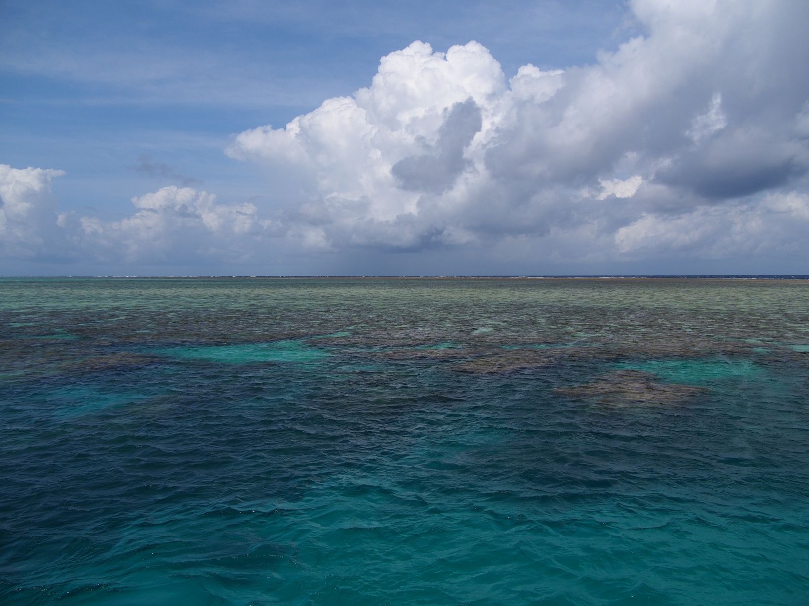 Primary photo of Split Bommie (Opal Reef)