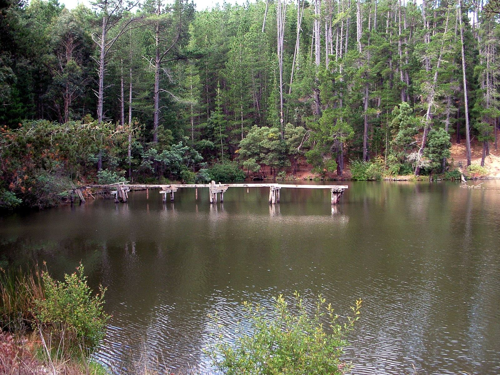 Primary photo of St Georges Lake (Creswick)