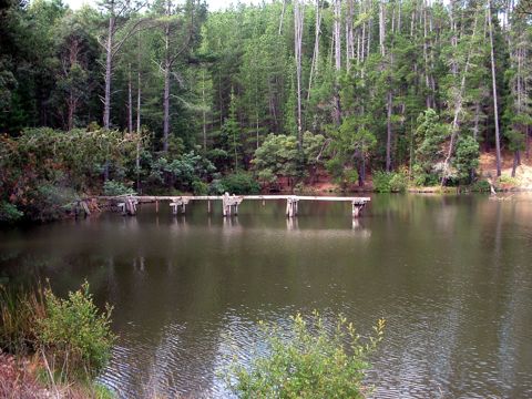 Photo of St Georges Lake (Creswick)