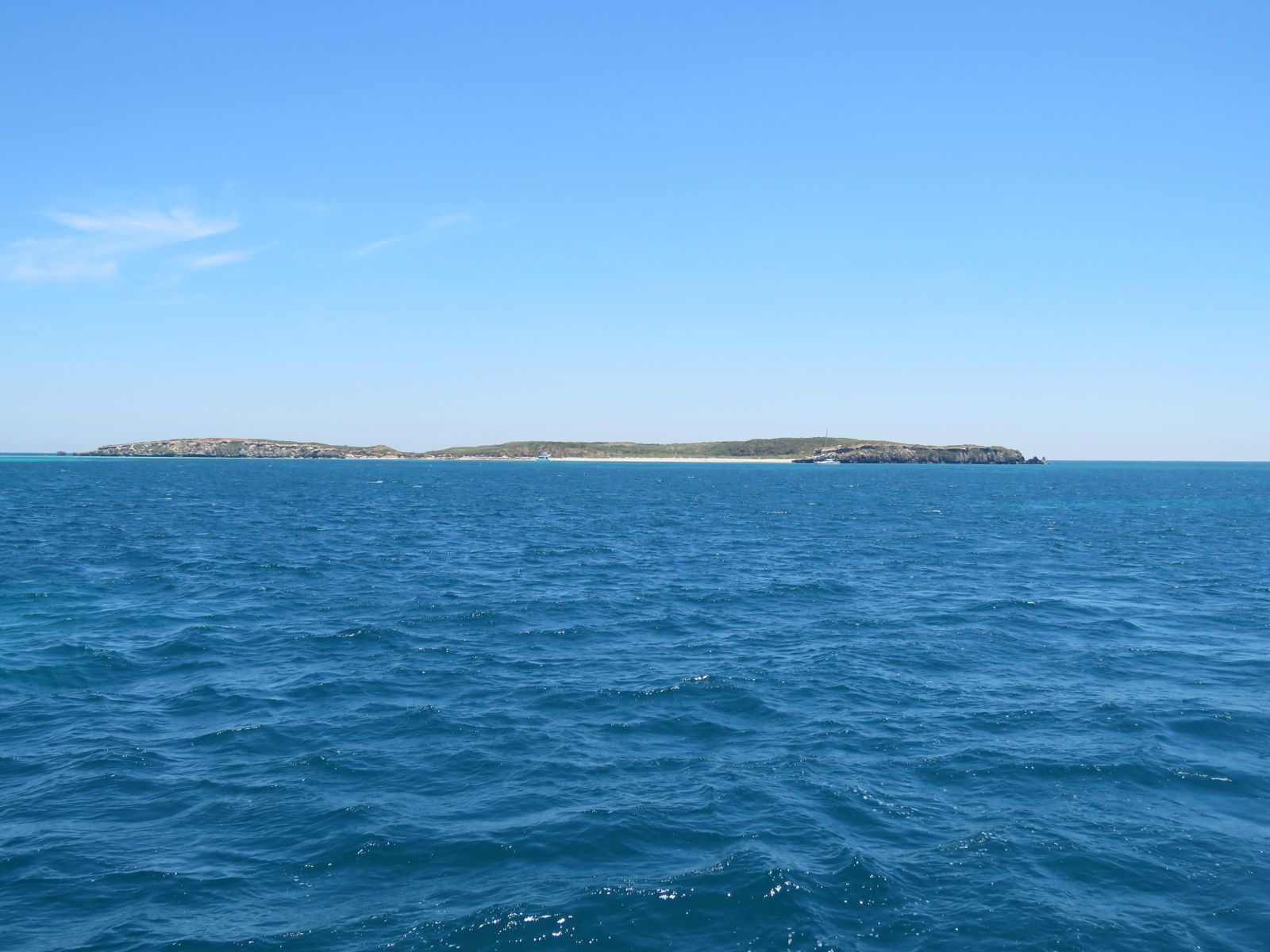 Stragglers Reef (Carnac Island) snorkelling spot