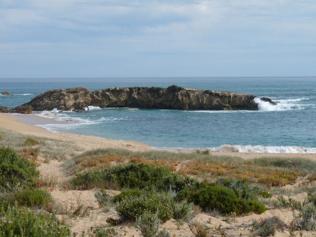 Primary photo of Surf Beach (Beachport)