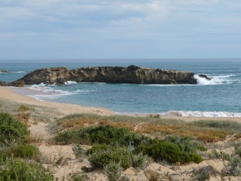 Photo of Surf Beach (Beachport)