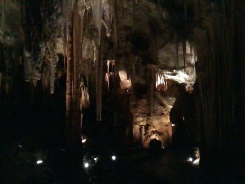 Photo of Tank Cave (Tantanoola)