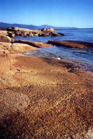 Photo of Taylors Beach