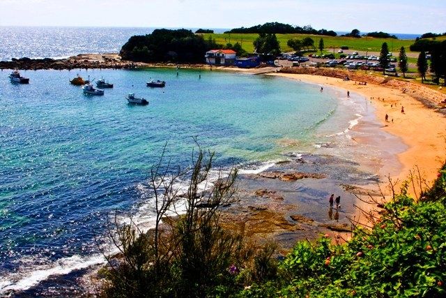 Primary photo of Terrigal Beach (The Haven)
