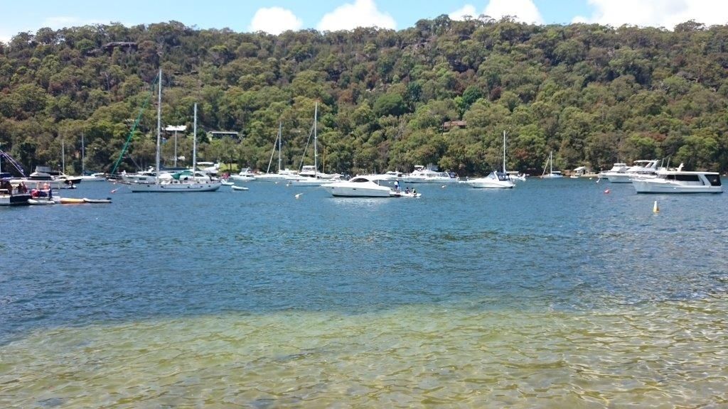 Primary photo of The Basin (Ku-ring-gai Chase National Park)