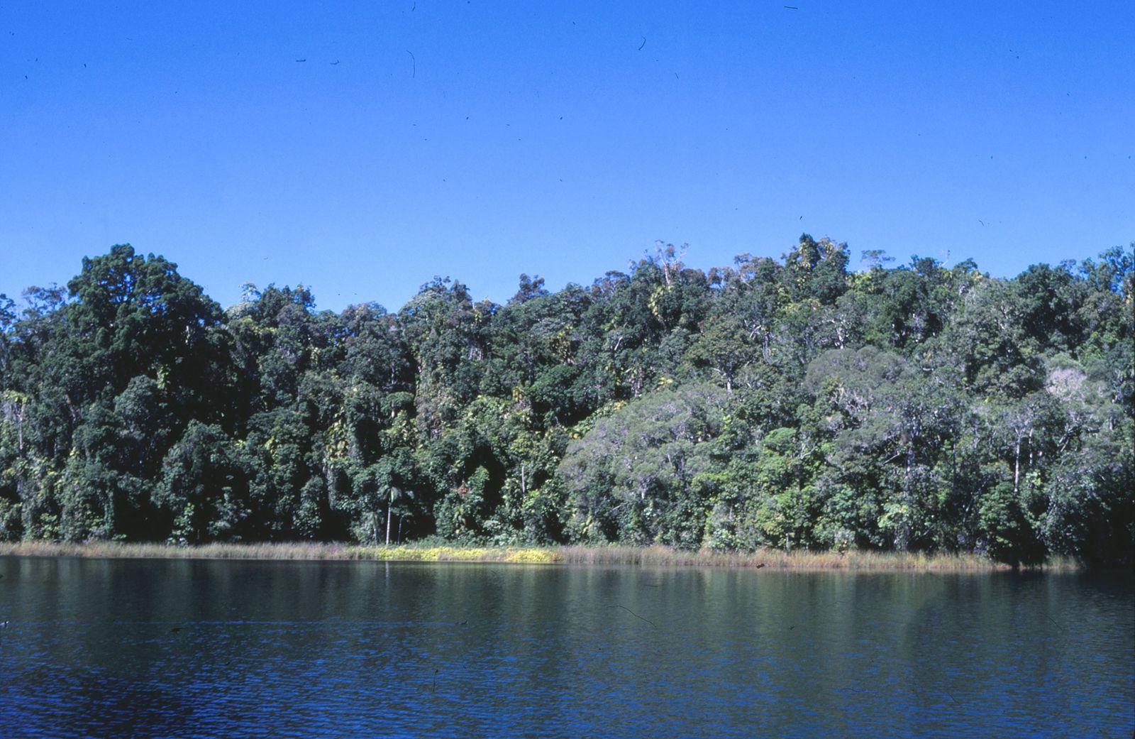 Primary photo of The Crater Lakes (Lake Eacham & Lake Barrine)