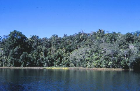 Photo of The Crater Lakes (Lake Eacham & Lake Barrine)