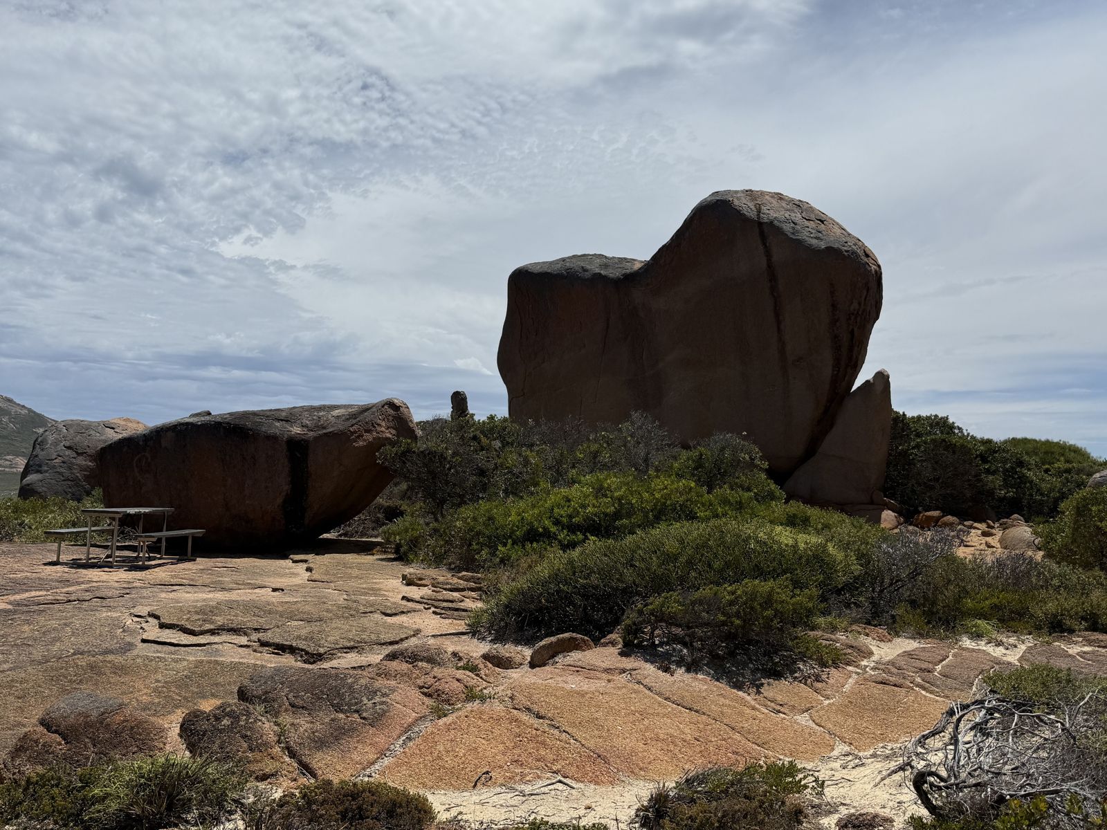 Primary photo of Thistle Cove