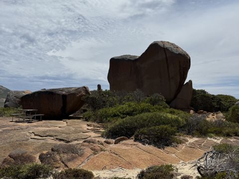 Photo of Thistle Cove