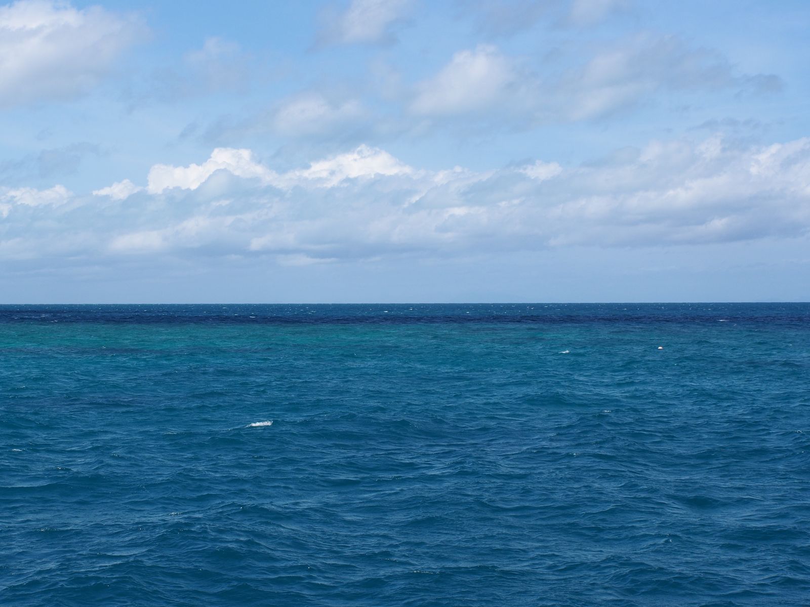 Primary photo of Tongue Reef