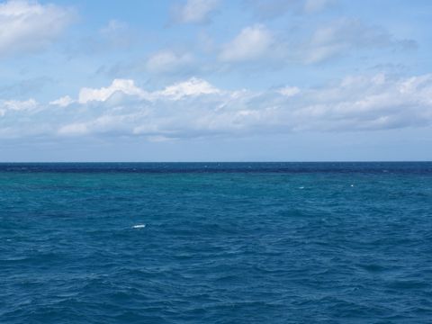 Photo of Tongue Reef
