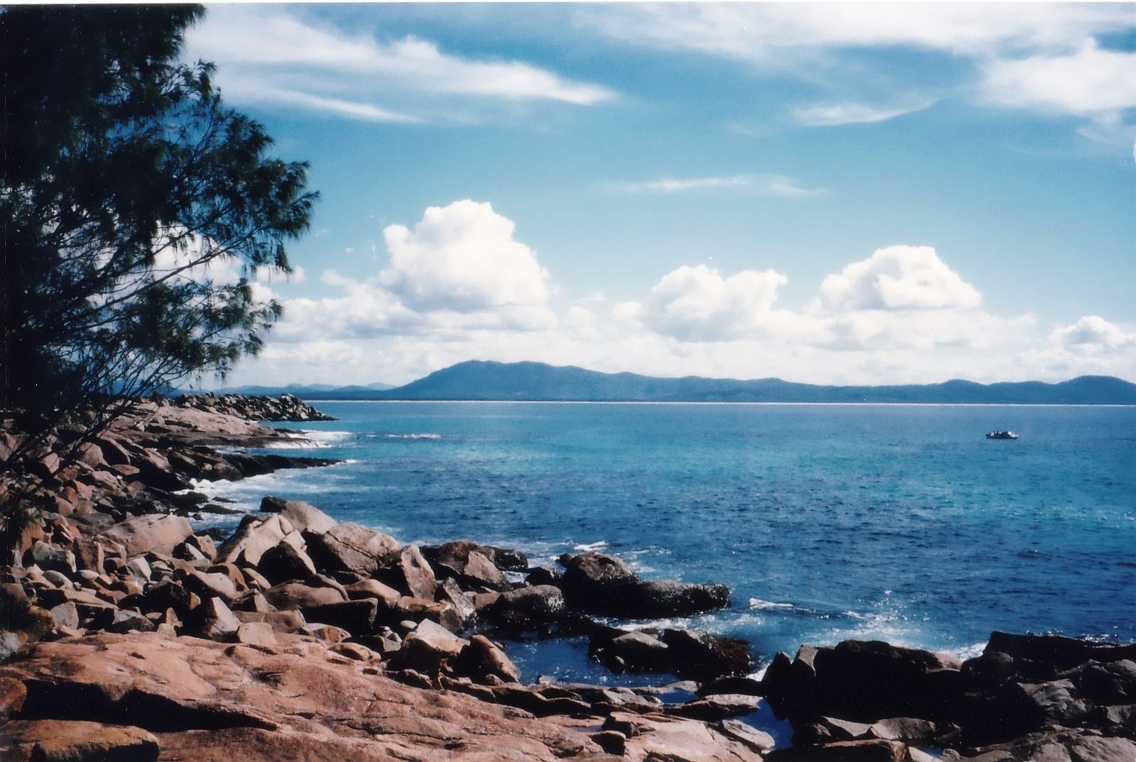 Primary photo of Trial Bay (Arakoon National Park)