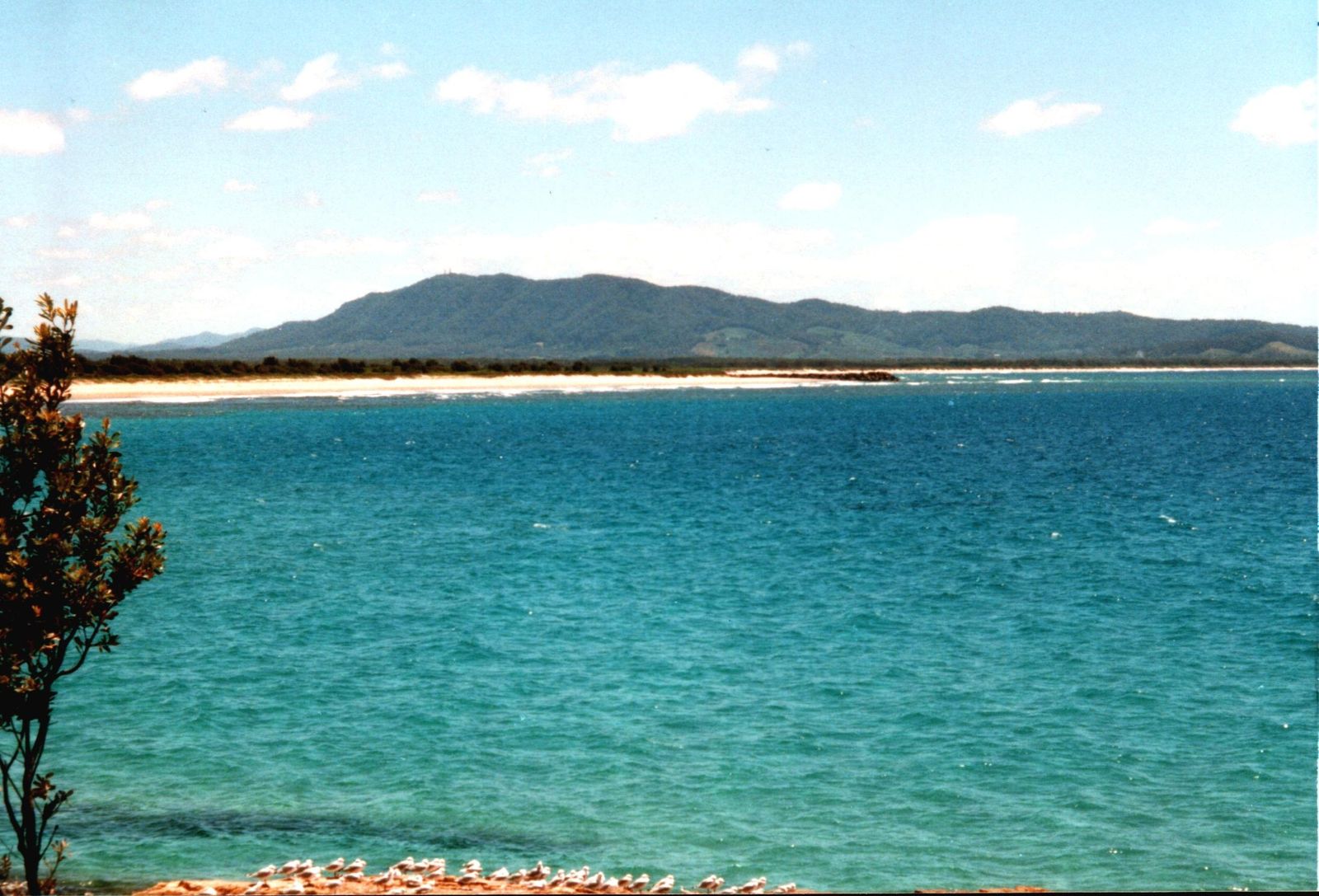Primary photo of Trial Bay