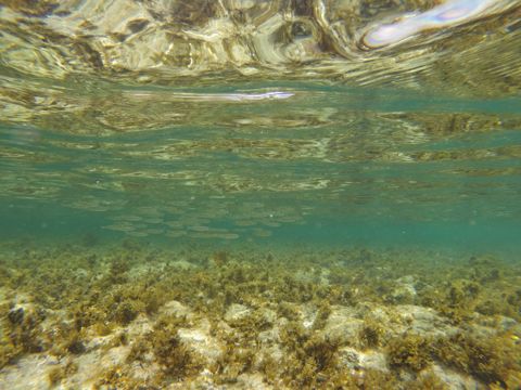 Photo of Trigg Beach