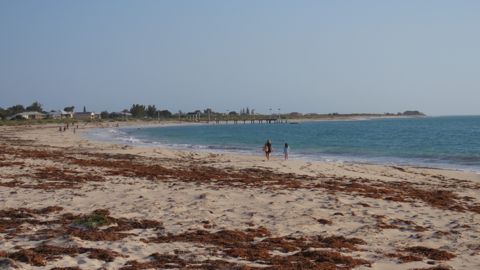 Photo of Tugboat Beach (Sunken Tugboat)