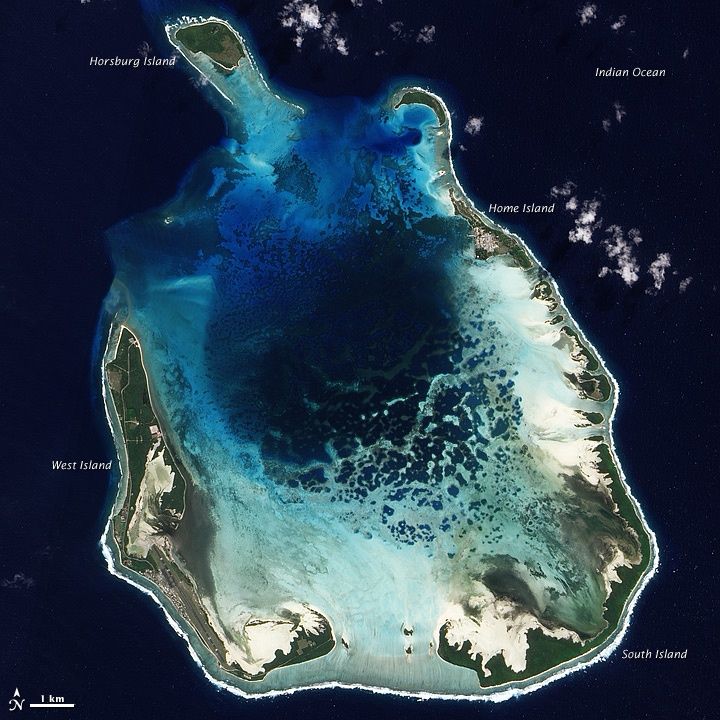 Primary photo of Turks Reef