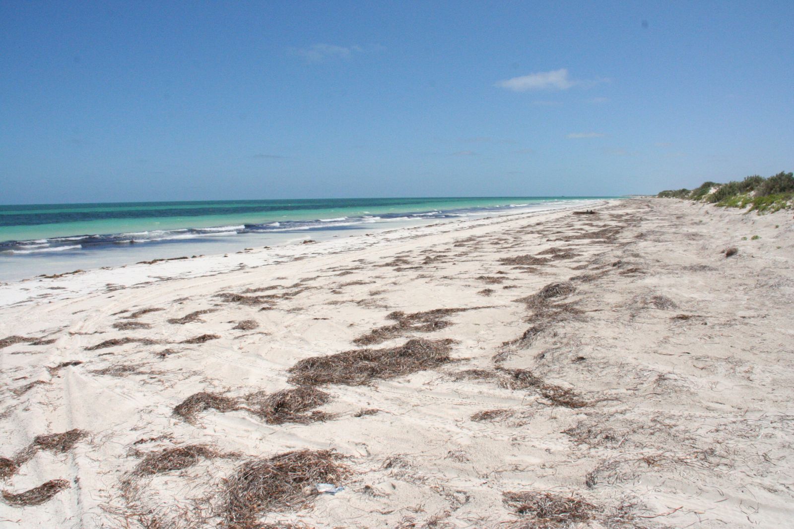 Primary photo of Wade Beach (at Eucla)