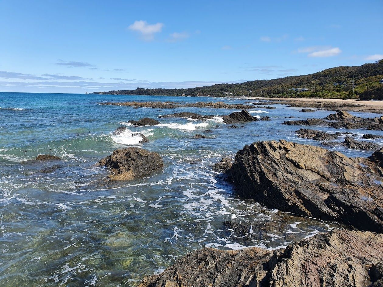 Primary photo of Walkerville South / Bird Rock