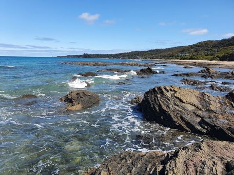 Photo of Walkerville South / Bird Rock