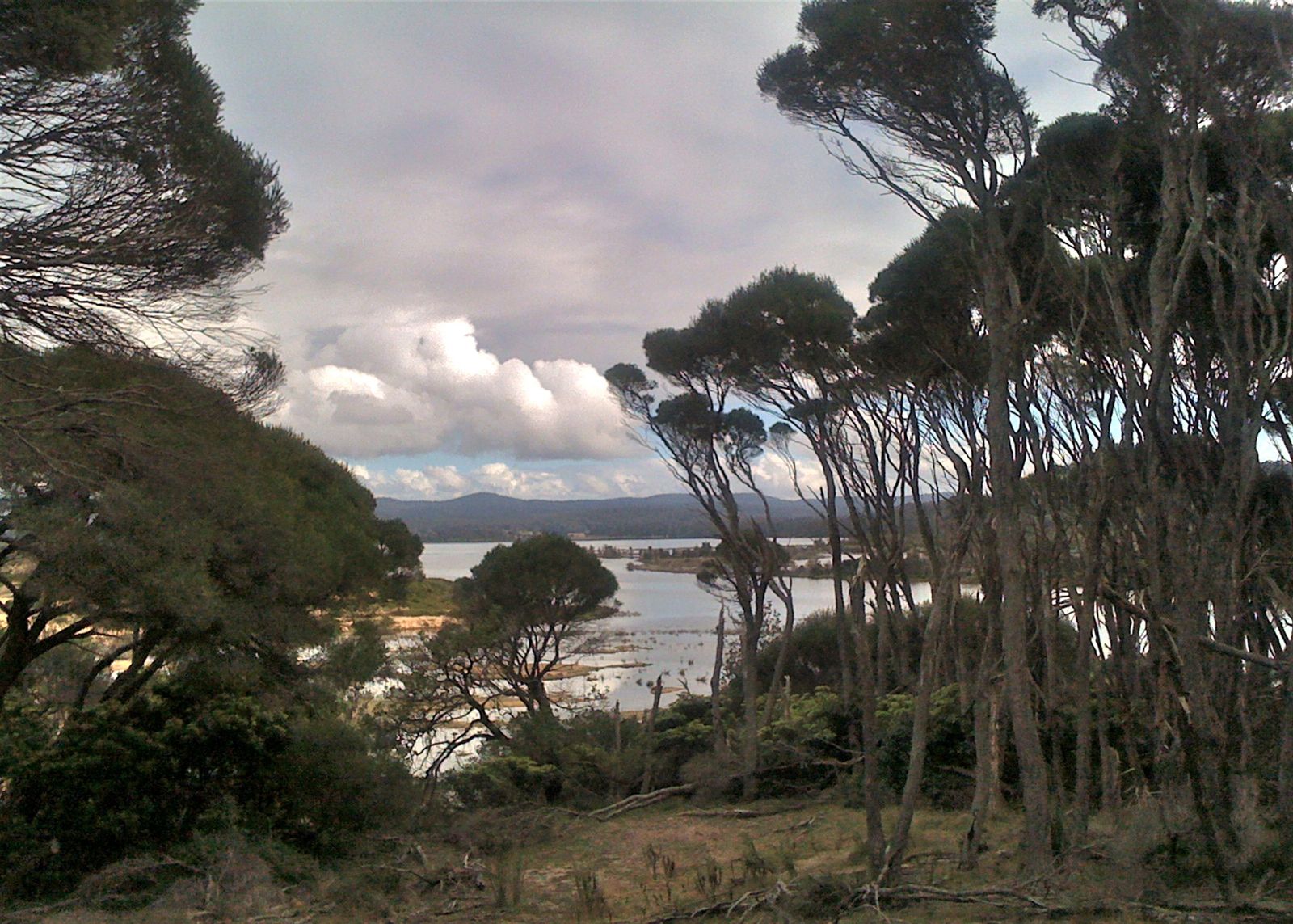 Primary photo of Wallagoot Lake