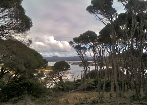 Photo of Wallagoot Lake