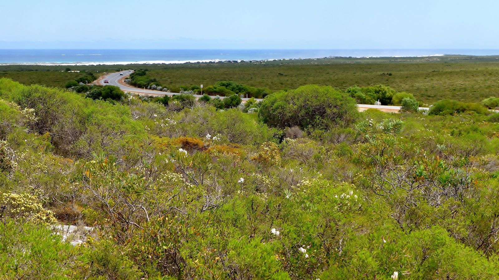 Primary photo of Wanagarren Nature Reserve (coastal snorkel sites)
