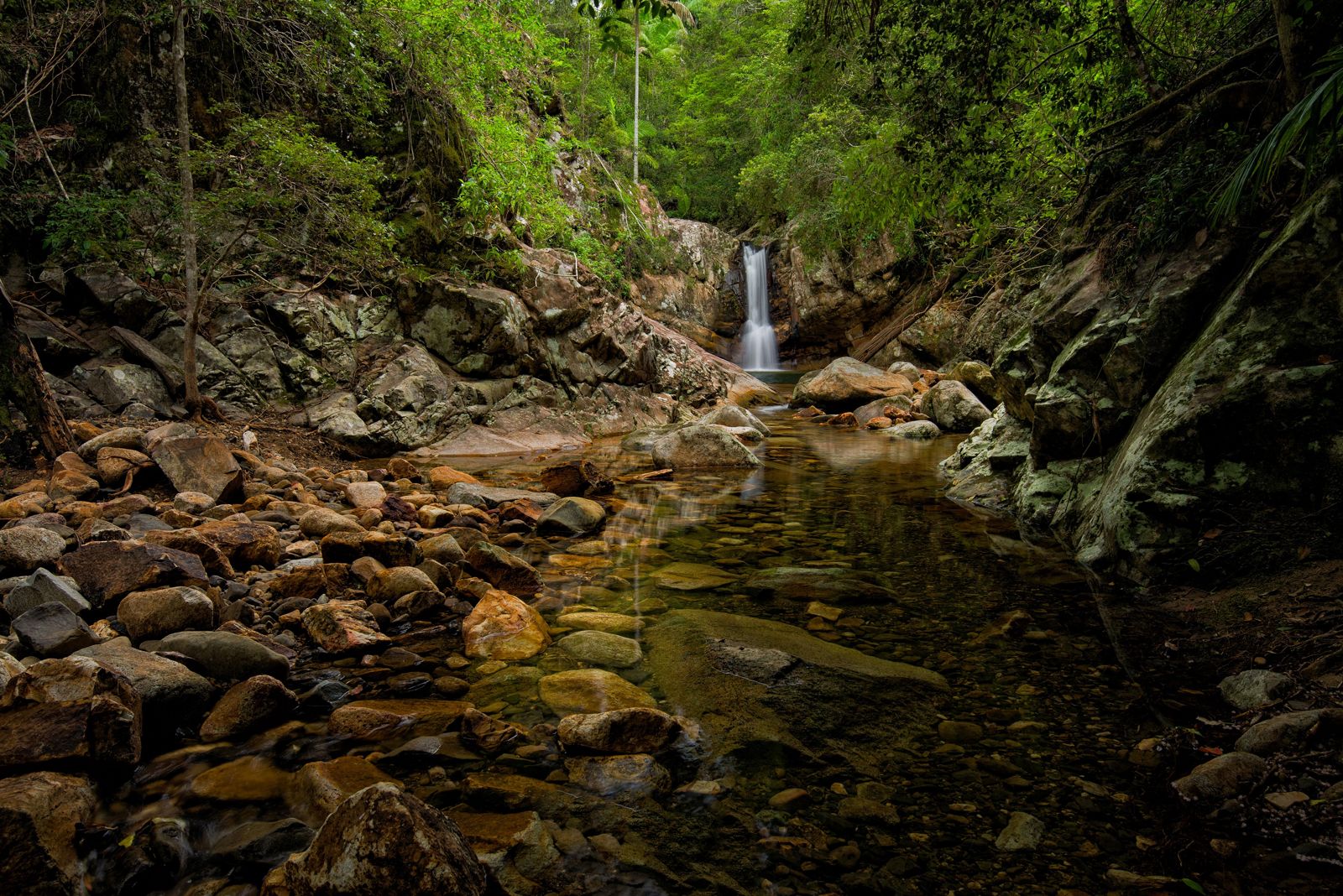 Primary photo of Waterfall Creek Reserve (Mount Barney NP)
