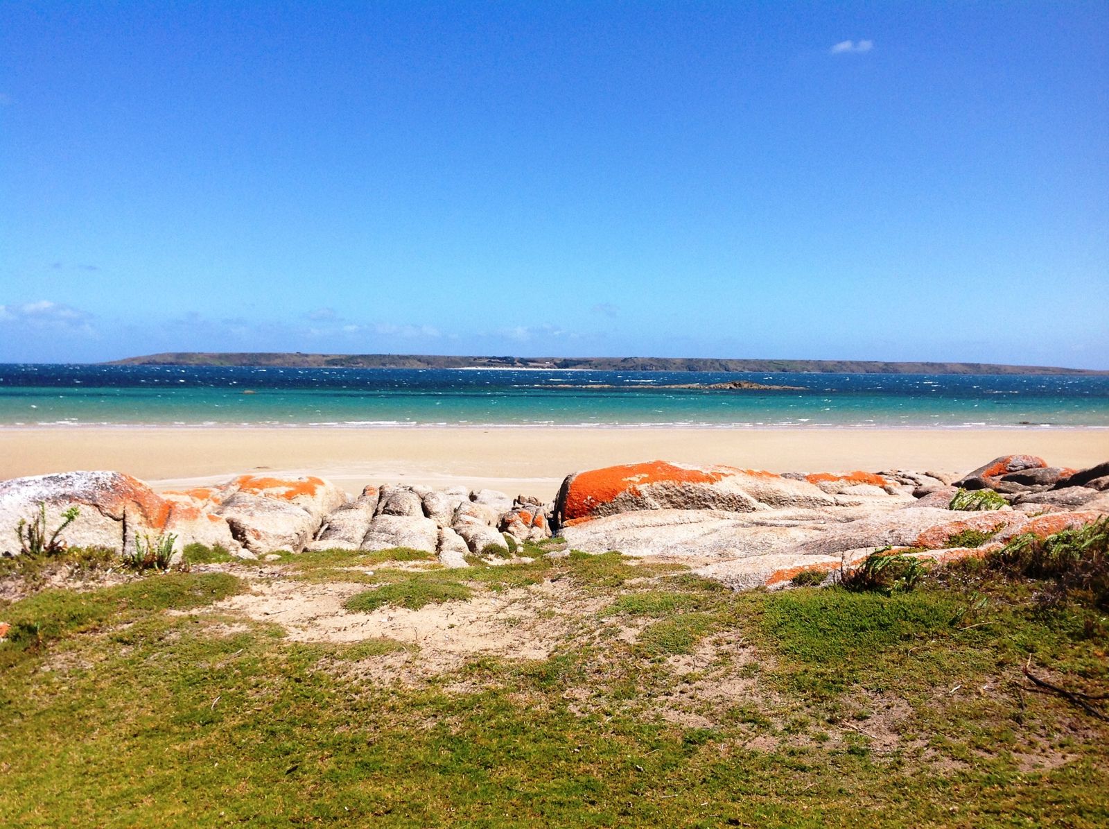 Primary photo of Waterhouse Conservation Area (beaches at Blackmans Lagoon, South Croppies, Waterhouse Point, Ranson Beach)