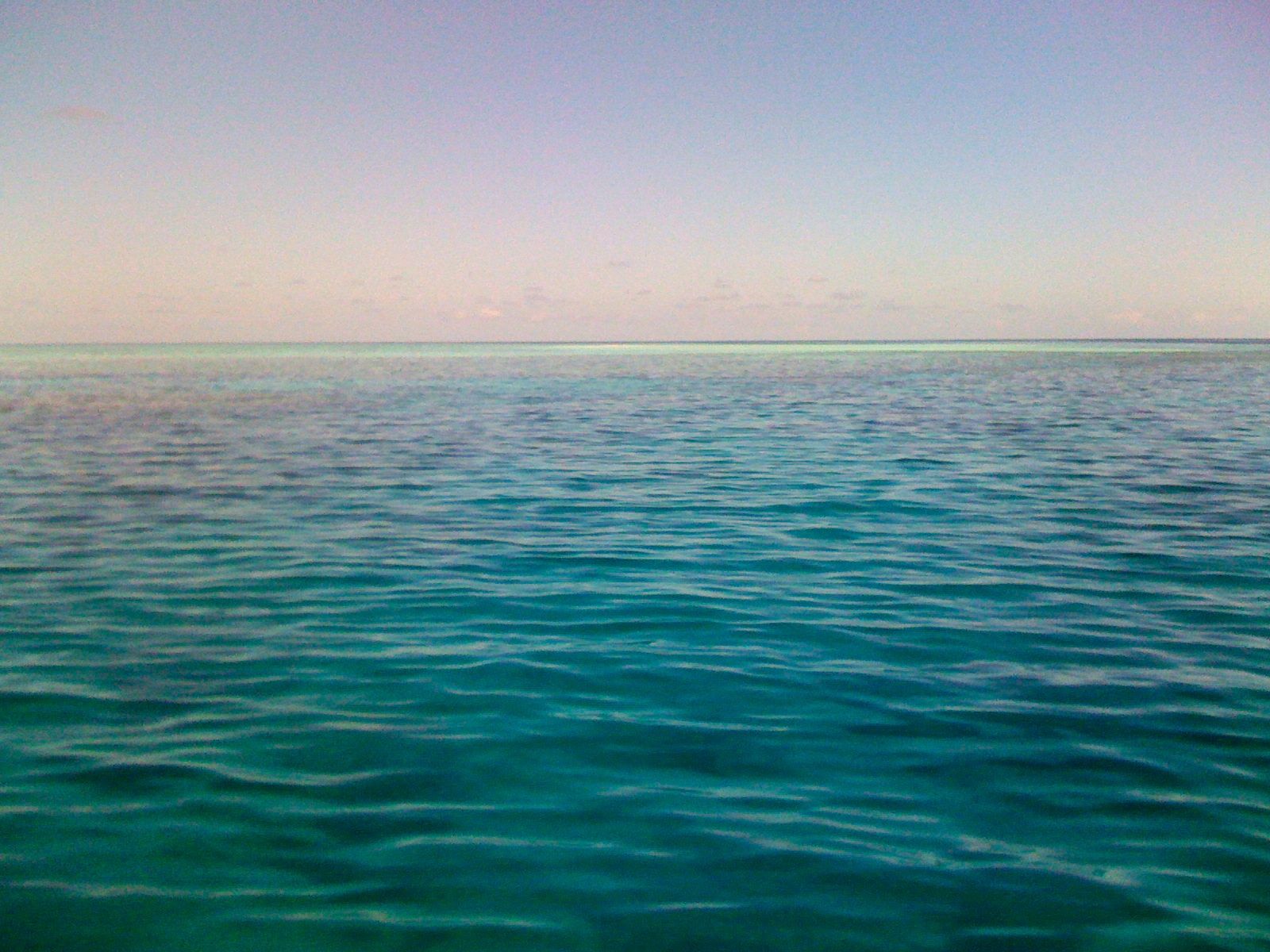 Primary photo of Wheeler Reef