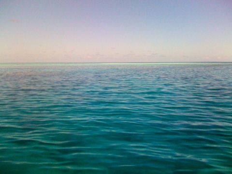 Photo of Wheeler Reef