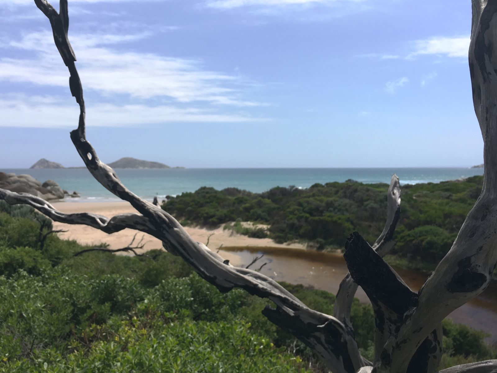 Primary photo of Whisky Bay