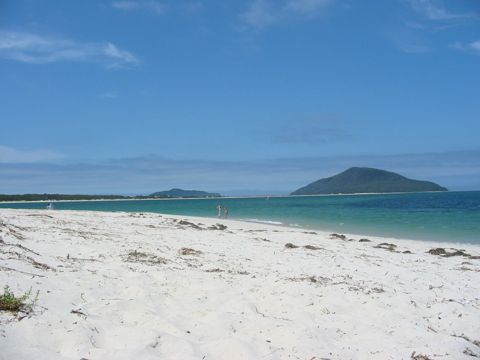 Photo of Winda Woppa Beach - Hawks Nest (snorkeling)