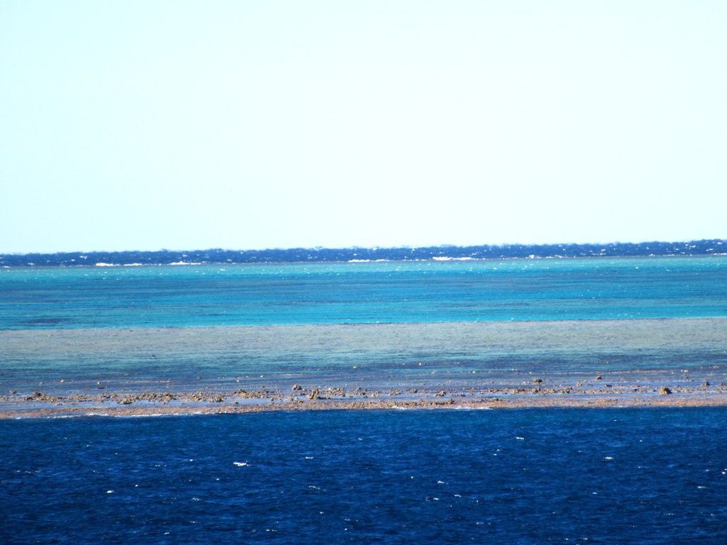 Primary photo of Wistari Reef