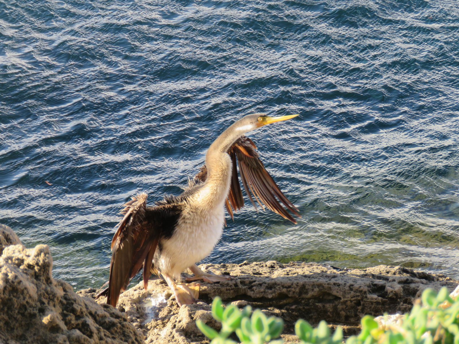 Primary photo of Woodman Point Regional Park