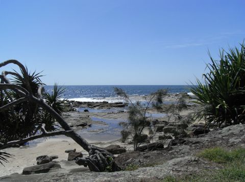 Photo of Woody Head Rock Pools